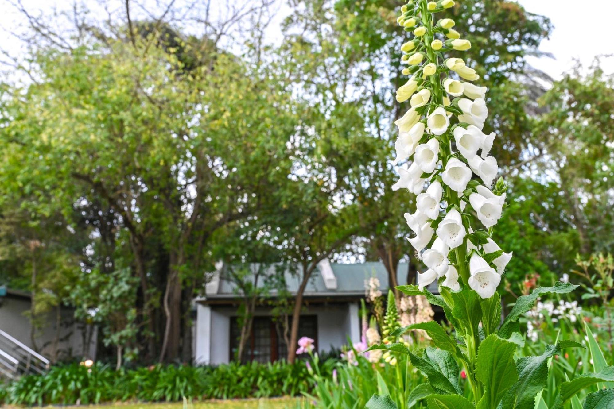 Woodall Country House And Spa Addo Εξωτερικό φωτογραφία