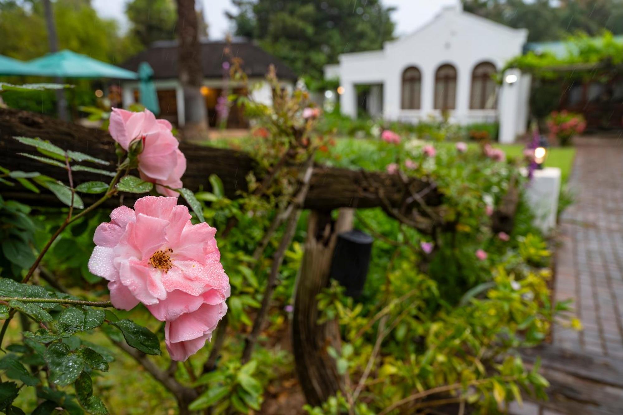Woodall Country House And Spa Addo Εξωτερικό φωτογραφία