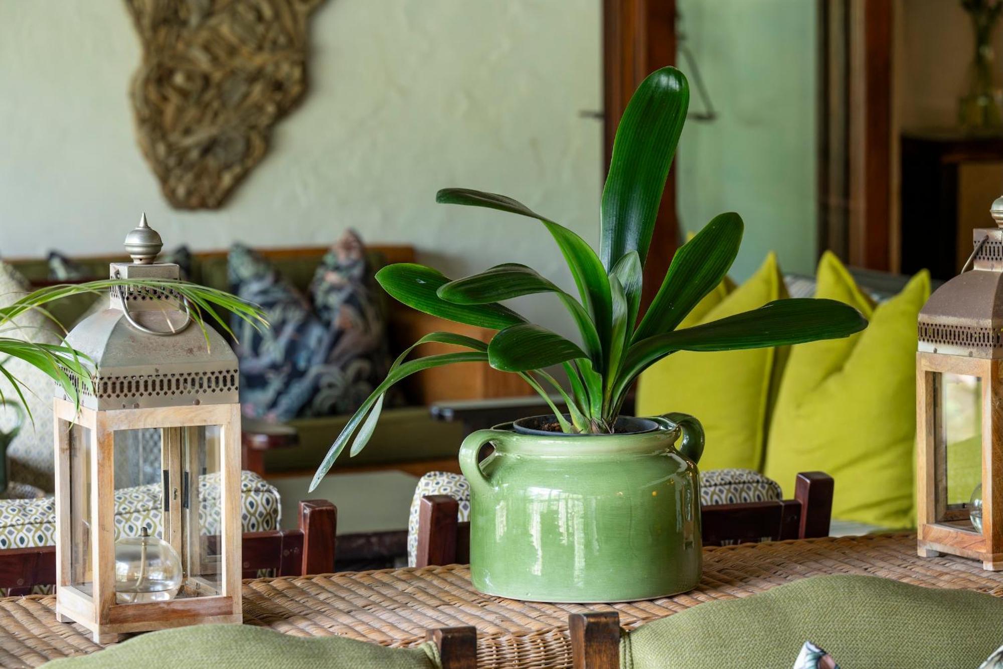 Woodall Country House And Spa Addo Εξωτερικό φωτογραφία