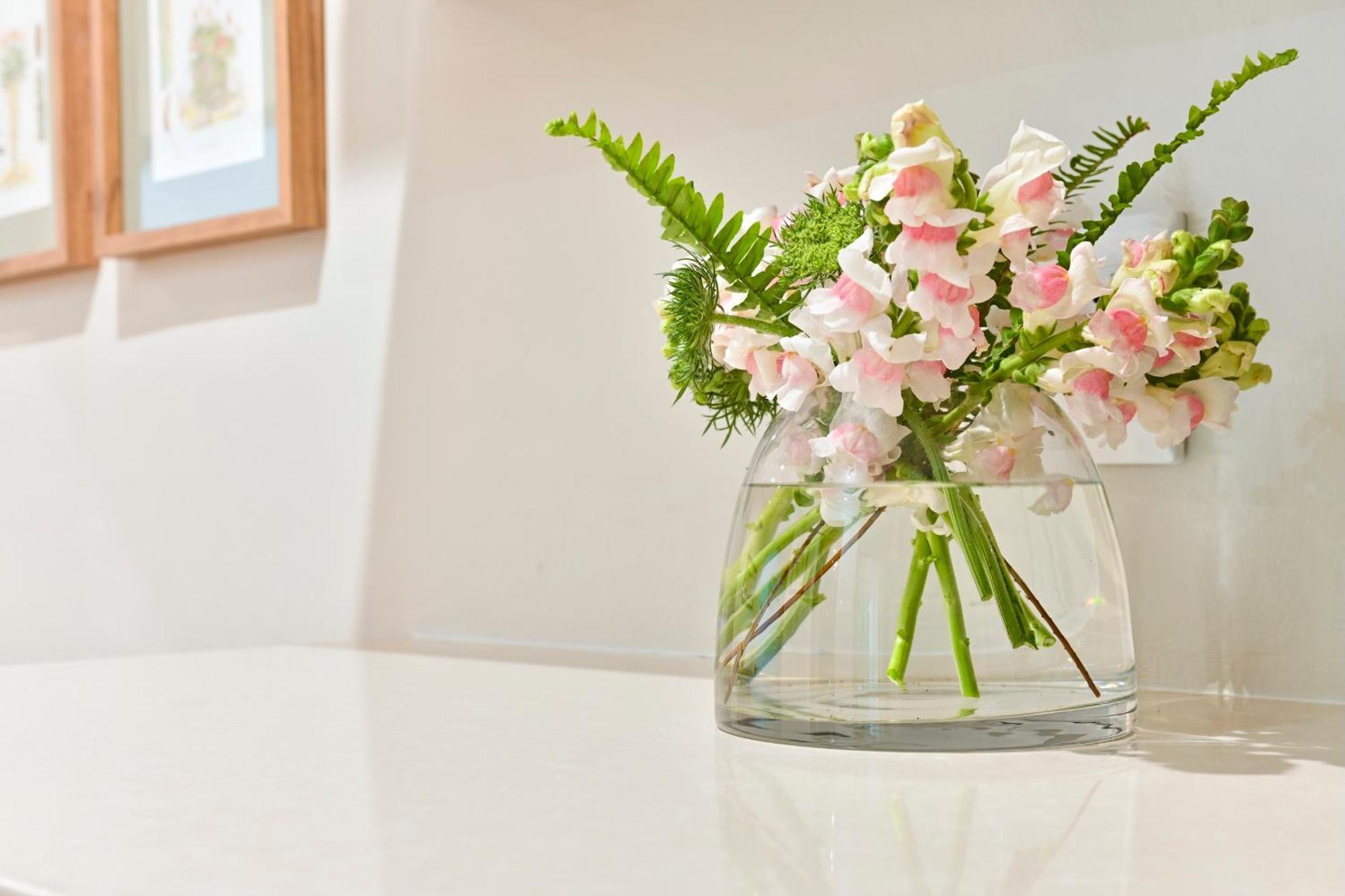 Woodall Country House And Spa Addo Εξωτερικό φωτογραφία